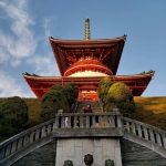 20241208  成田山ピクニック